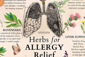 Natural Allergy Herbal Supplements Guide: Find Relief! The Ultimate Herbal Remedies Guide: Natural Healing for a Healthier Life Natural Allergy Herbal Supplements Guide: Find Relief! | The Ultimate Herbal Remedies Guide: Natural Healing for a Healthier Life